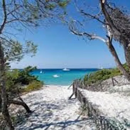 Апартаменты Climatise Avec Piscine, Balcon Et Parking, Proche Et Centre - Saint-florent - Fr-1-650-35 *